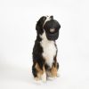 Cap Life es un viaje, Schwarz, Unisex, TruckerCap - Imagen 4