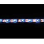 Banda LED de 12V, RGBW: rojo, verde, azul, blanco cálido, IP65, 10 mm de ancho 3
