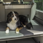 Colchón para perros - Edición trasera para VW T5/T6 California 7